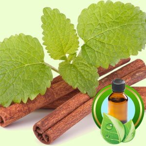 1oz Cinnamon Leaf Ceylon Organic Essential Oil